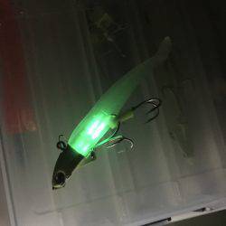 貝塚人口島テトラ帯