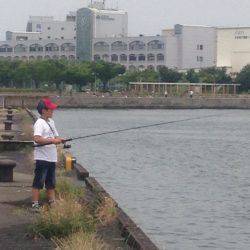 子どもとオクトパッシング