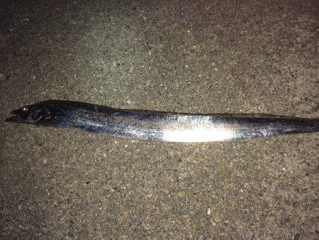 アジングのつもり