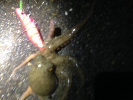 オクトパッシング