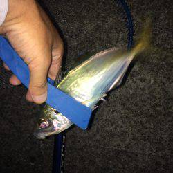 シーズンおわり？