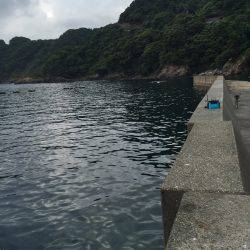 釣れてると聞いたので☆