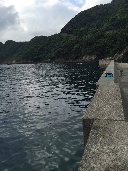 釣れてると聞いたので☆