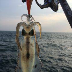 またまた新子調査