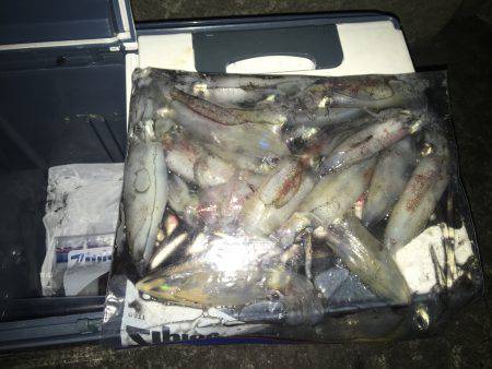 ケンサキ大人気！