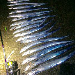 北港太刀魚‼︎