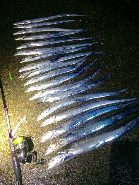 北港太刀魚‼︎