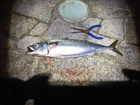 釣り人いっぱい