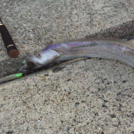 今年は少し時期が早いのか?