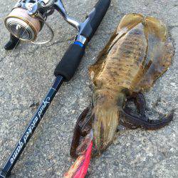 少しマシな新子