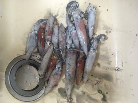 チョチョイと剣先。