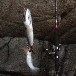 ショアジギでサバゲー