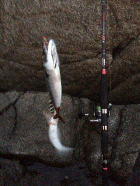 ショアジギでサバゲー