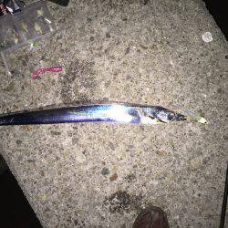 仕事帰りの太刀魚釣り