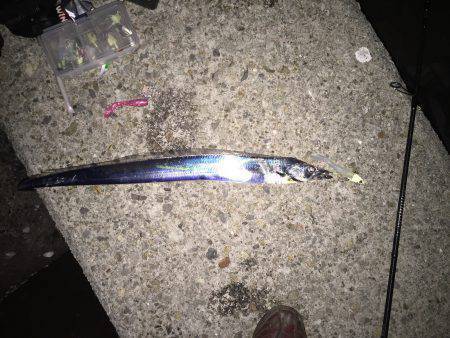 仕事帰りの太刀魚釣り