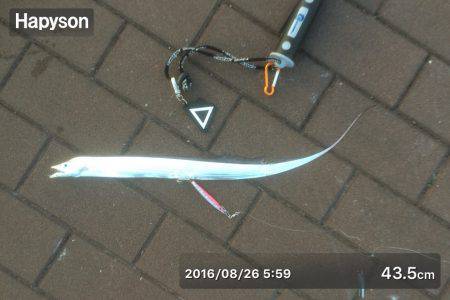 ベルトのち、スレ