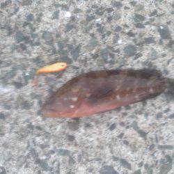 寝過ごし‥30分のみ