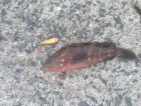 寝過ごし‥30分のみ