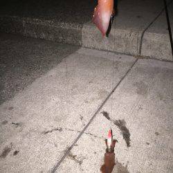 まったりエギング☆