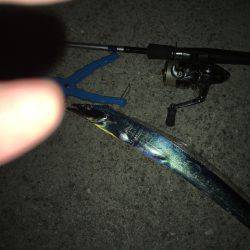 したしぶり釣行