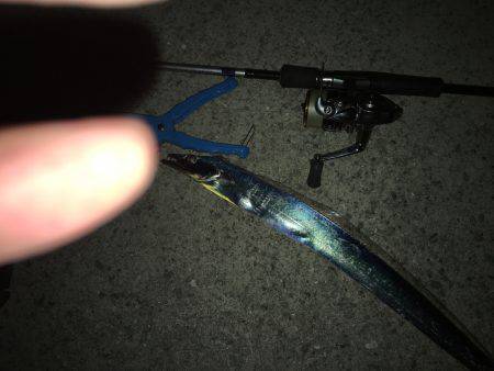 したしぶり釣行