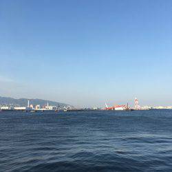 じつは結構きてるんです。