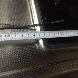 短時間釣行でタチウオ