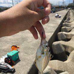 渋い…だが！？