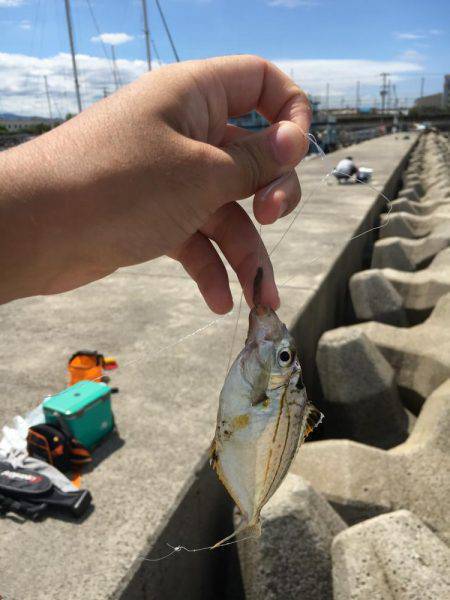 渋い…だが！？