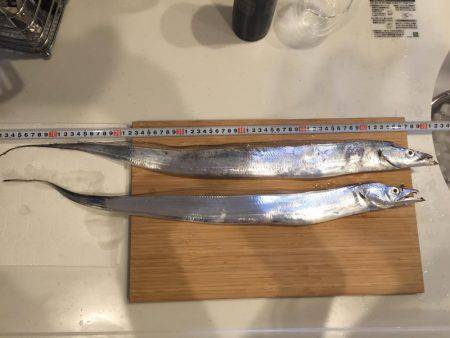 アジングでタチウオゲット！