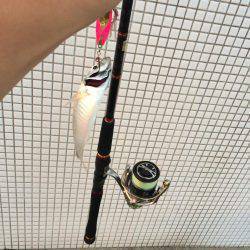 竹野新波止でライトジギング