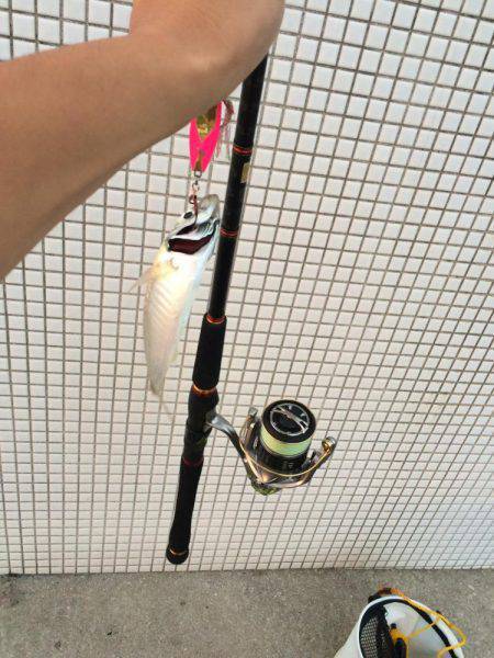 竹野新波止でライトジギング