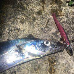 意地になってしまいました!