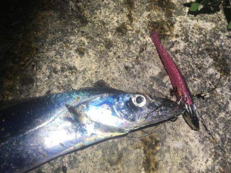 意地になってしまいました!