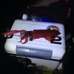 リベンジエギング