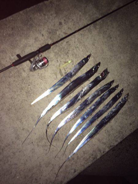 タチウオワインド