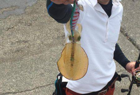 五目フィッシング