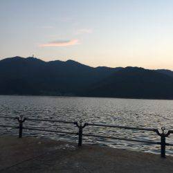 豆アジ、小アジ