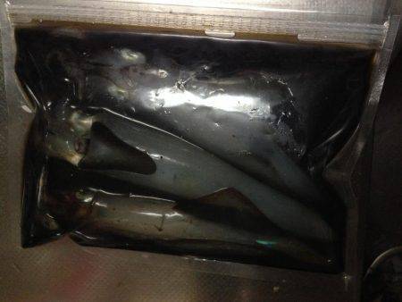 連夜エギング釣行