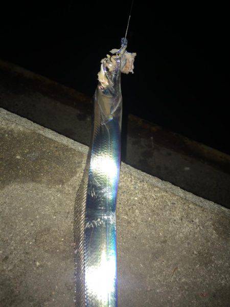 ちょっとサイズUP↑