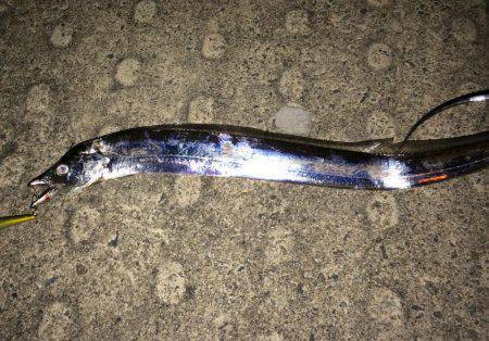 神戸空港   ミノーで1本