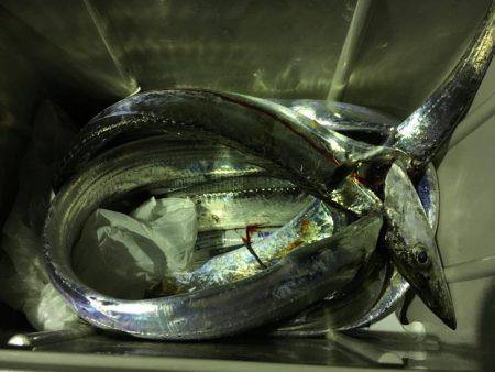 ちょい投げはダメだったけど…