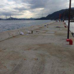 エギング最高( ´ ▽ ` )ﾉ