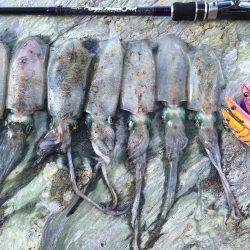 ウネリの中朝練エギング