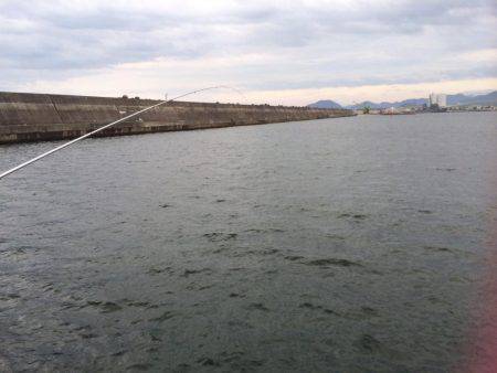 アジ、カンパチ？