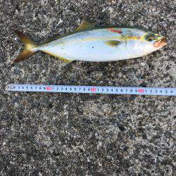 台風後のショアジギング