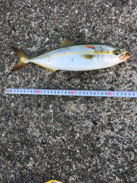 台風後のショアジギング