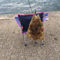 ロックフィッシングでキジハタ