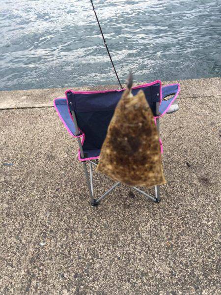 ロックフィッシングでキジハタ