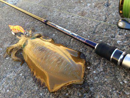 ウネリの中エギング